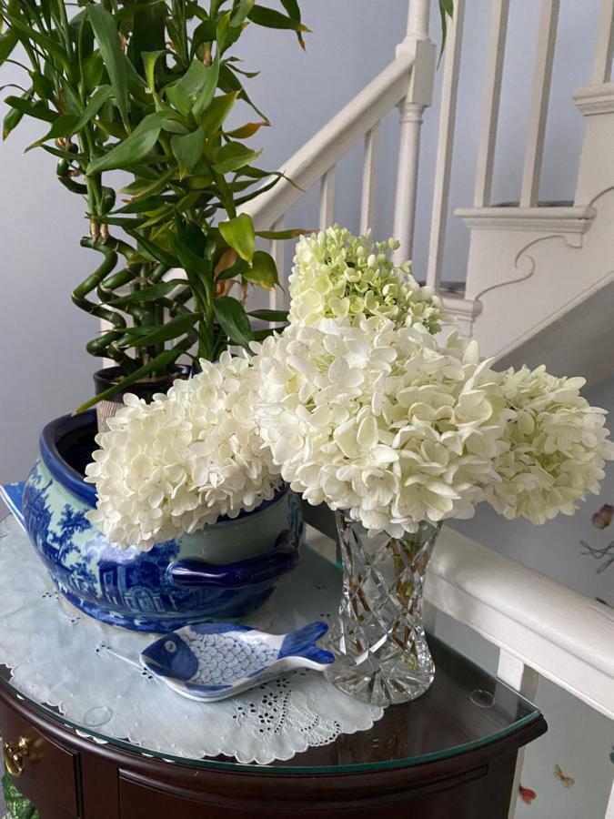 セーラム Northey Street House Bed & Breakfast エクステリア 写真