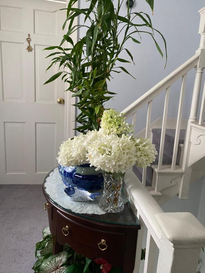 セーラム Northey Street House Bed & Breakfast エクステリア 写真