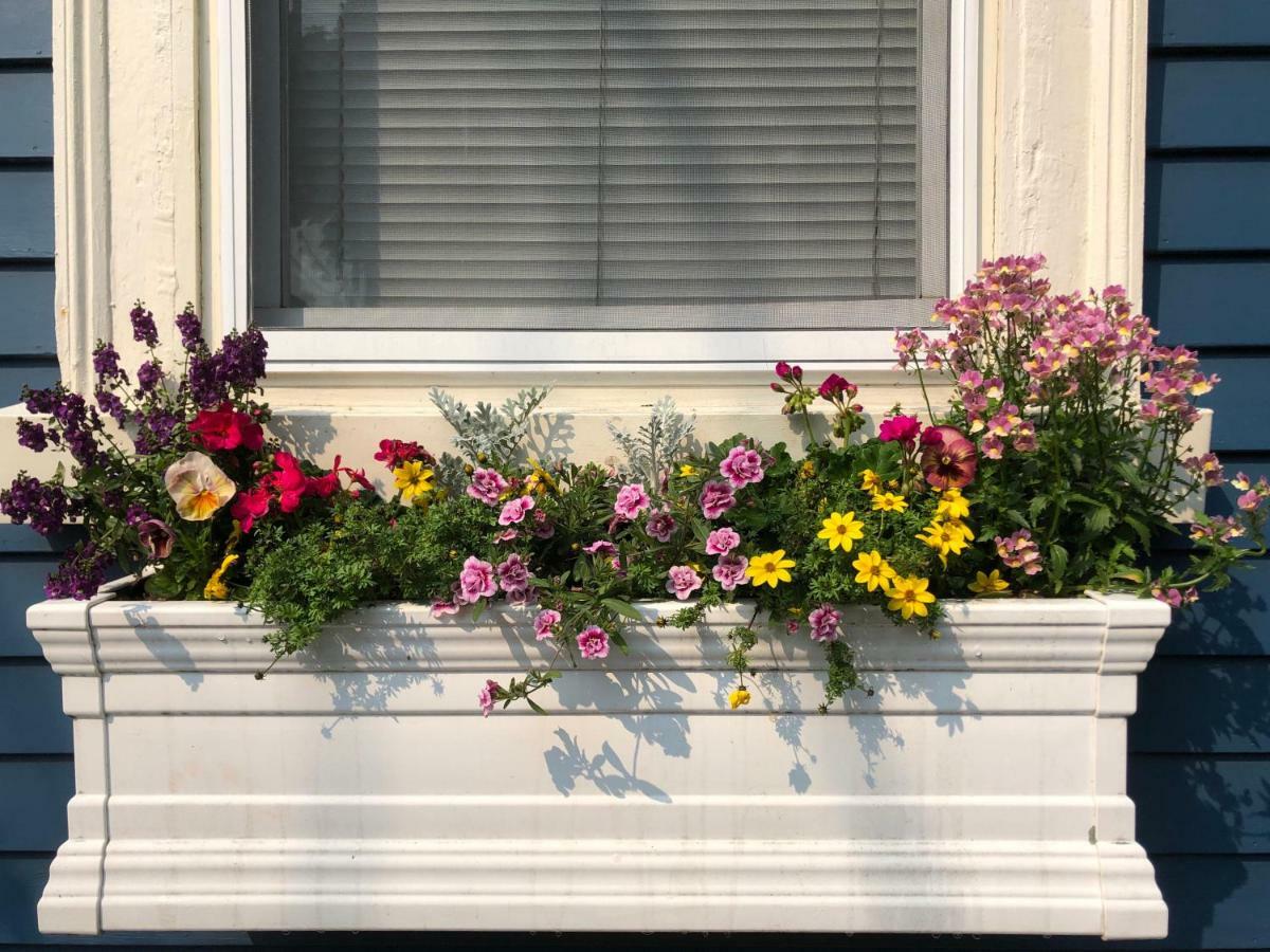 セーラム Northey Street House Bed & Breakfast エクステリア 写真